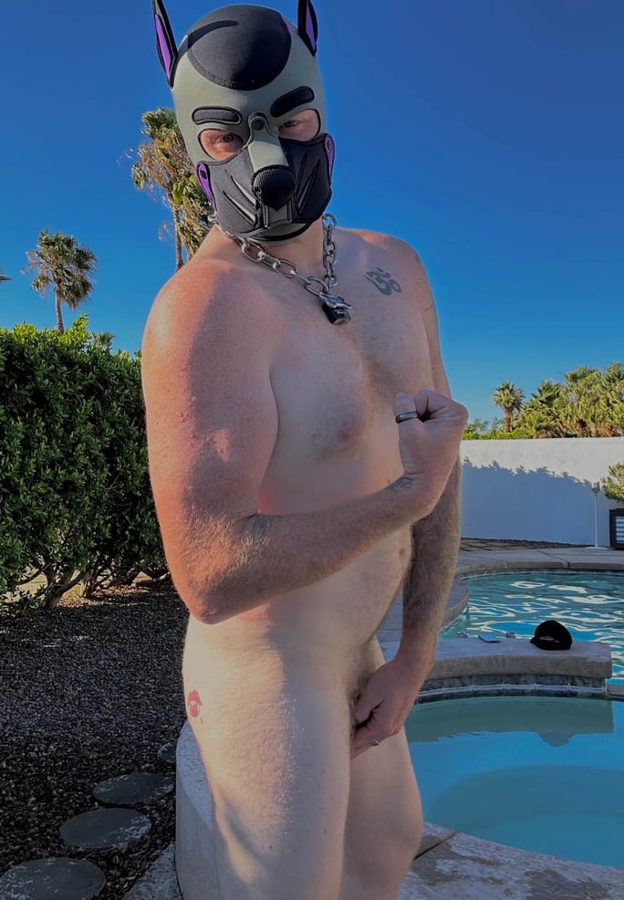 PexThePup VR